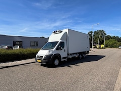 Fiat Ducato - MAXI 35H 2.3 MultiJet XLH1 KOELWAGEN met LAADKLEP