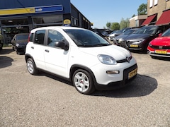 Fiat Panda - 1.0 Hybrid Urban / Airco / Rijklaarprijs