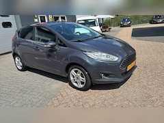 Ford Fiesta - 1.0 EcoBoost Titanium nieuwe distributie / apk / beurt