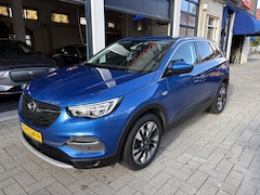 Opel Grandland X - 1.2 Turbo Business Executive NL AUTO/1E EIG./FULL OPTIONS/TOPSTAAT