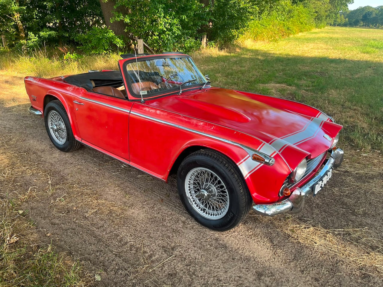 Triumph TR 250 - Gereviseerde motor - AutoWereld.nl