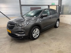 Opel Grandland X - 1.2 Turbo Business Edition 2e eigenaar riem vervangen