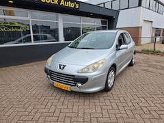 Peugeot 307 - 1.6-16V Oxygo