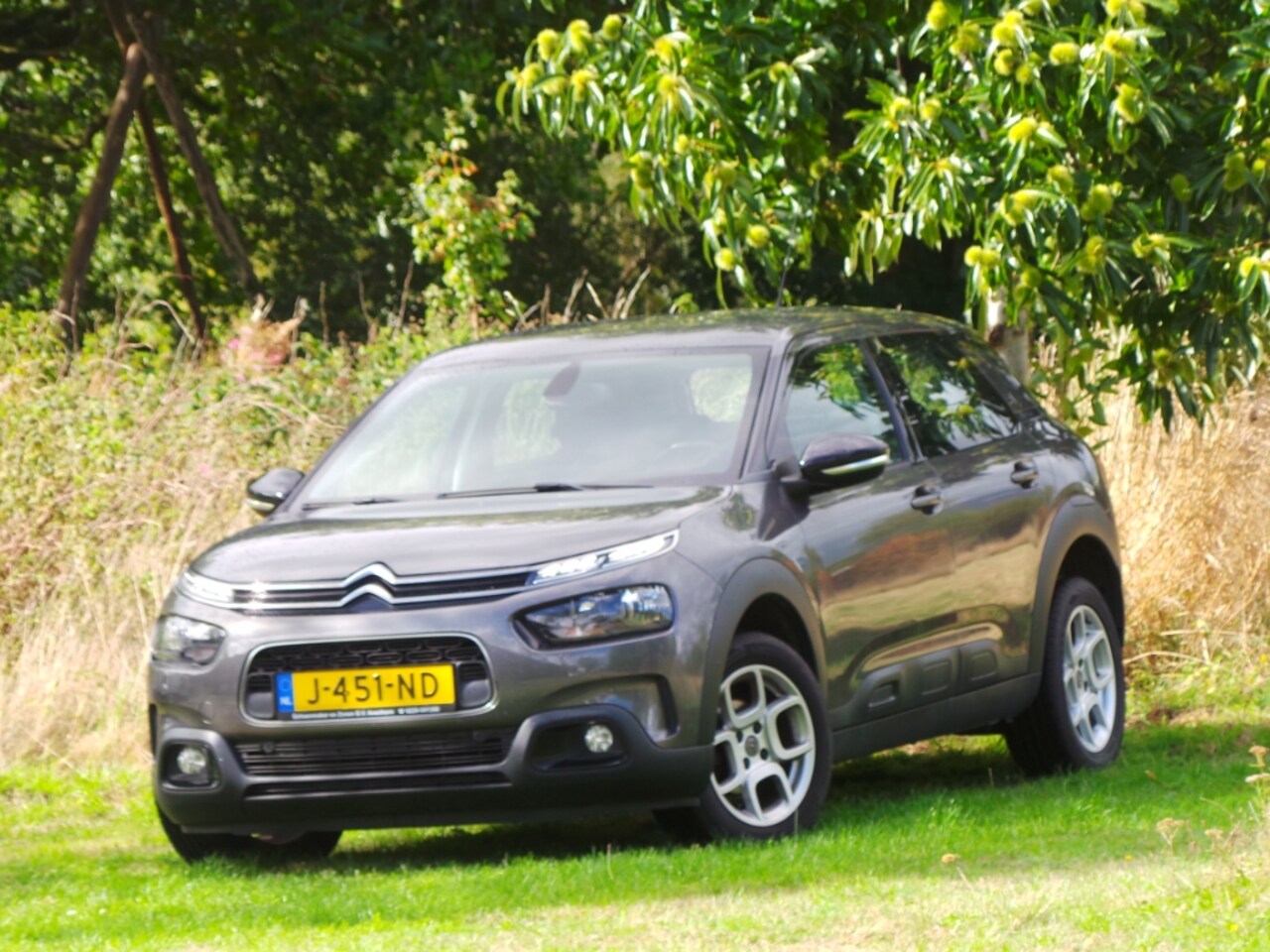 Citroën C4 Cactus - 1.2 PureTech Business 1.2 PureTech Business ( INRUIL MOGELIJK ) - AutoWereld.nl