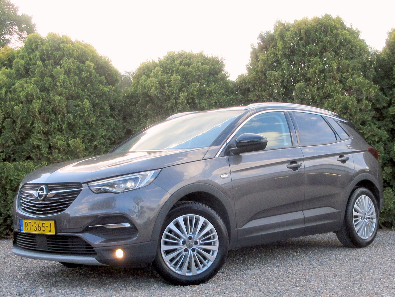 Opel Grandland X - 1.2 Turbo Innovation * Navi * Cruise * Pdc * - AutoWereld.nl