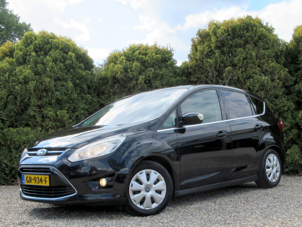 Ford C-Max - 1.6 SCTi Titanium * Navi * Pano * Camera * - AutoWereld.nl