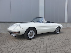 Alfa Romeo Spider - 1750 Bianco Spino