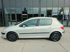 Peugeot 307 - 1.6-16V XS - Clima - Cruise