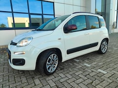 Fiat Panda - Spierwitte 0.9 TwinAir Lounge Automaat full options 1e eigenaresse
