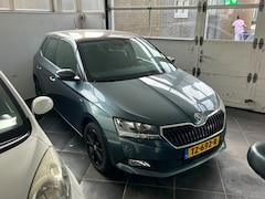 Skoda Fabia - 1.0 TSI Clever | Foto's volgen | NL Auto
