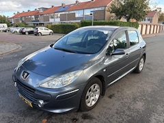 Peugeot 307 - 1.6-16V XS