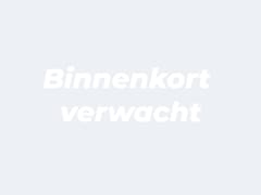 Lancia Y(psilon) - Ypsilon 1.2 Turbo Hybrid | All-in 433, - Private Lease | Direct uit voorraad
