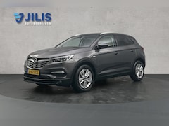 Opel Grandland X - 1.2 Turbo Business Executive | Stoelverwarming | Apple Carplay