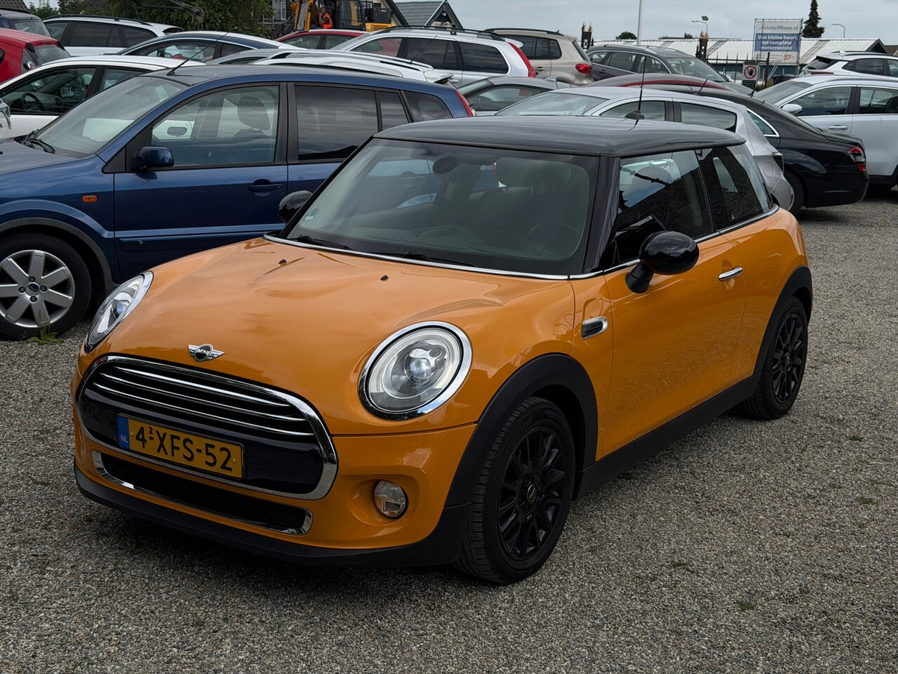 MINI 3-Deurs - 1.5 Cooper First Born Edition Vol Optie Automaat Headsup Leer Camera Clima Cruise - AutoWereld.nl