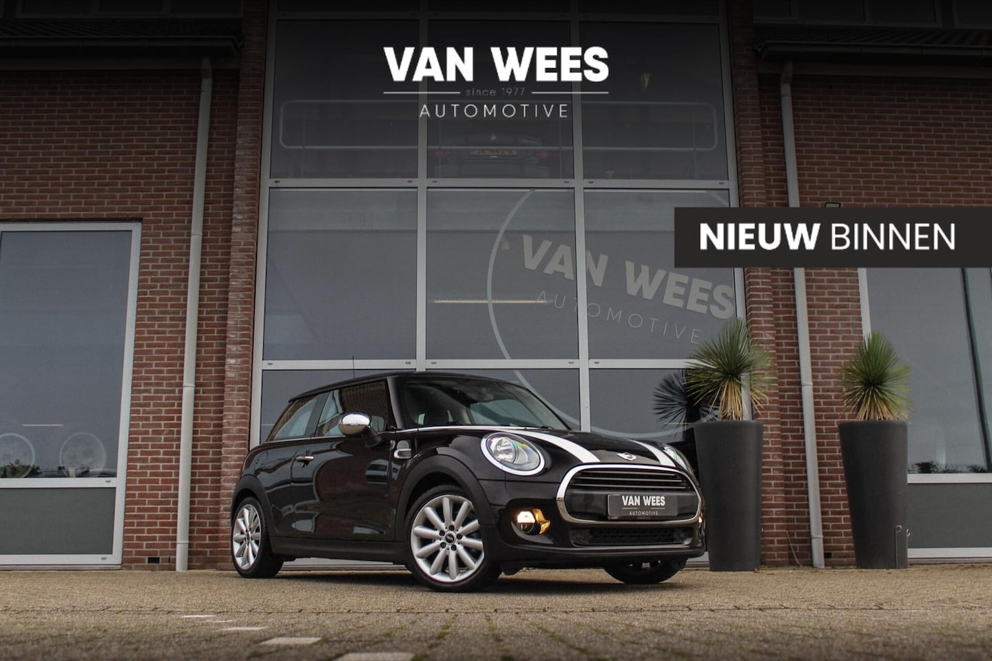 MINI 3-Deurs - 1.2 One Salt | Stoelverwarming | Bluetooth | Lichtpakket | 17 inch | Mini Excitement Pakag - AutoWereld.nl