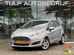 Ford Fiesta - 1.0 EcoBoost Titanium Clima Cruise Navi PDC NAP