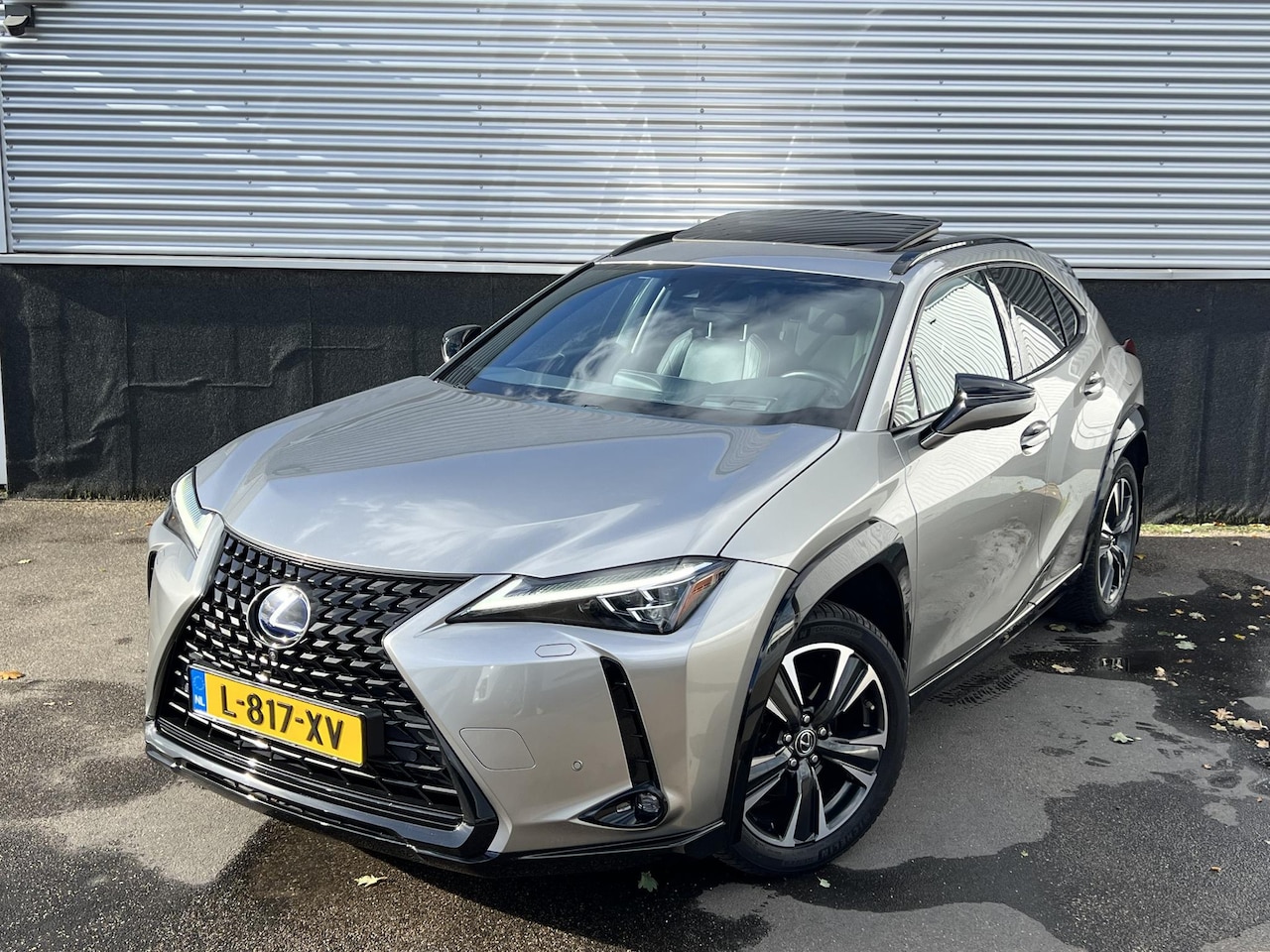 Lexus UX - 250h Executive Line Schuifkanteldak / Lederen interieur / Afneembare trekhaak / Full optio - AutoWereld.nl