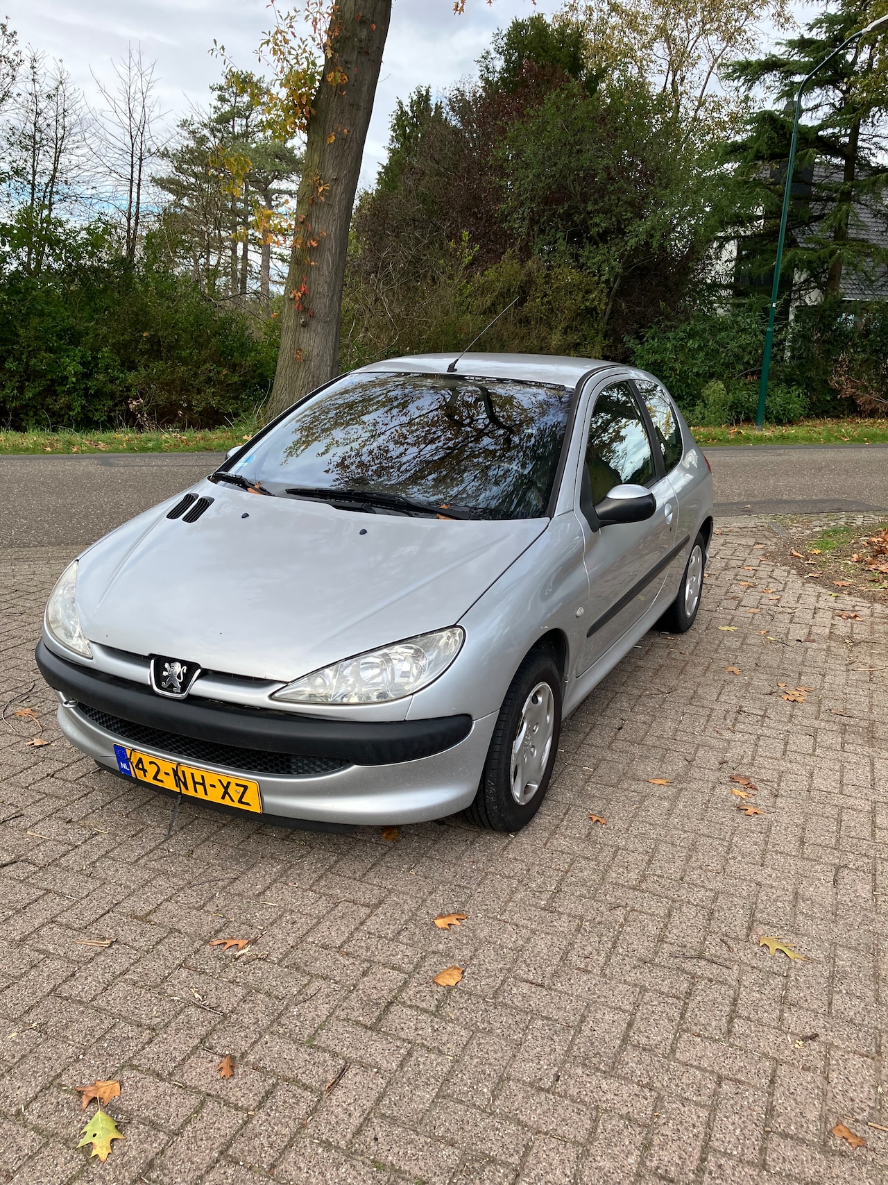 Peugeot 206 - 1.4 XS - AutoWereld.nl