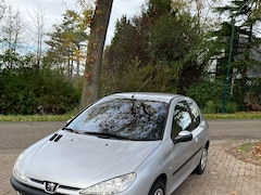 Peugeot 206 - 1.4 XS