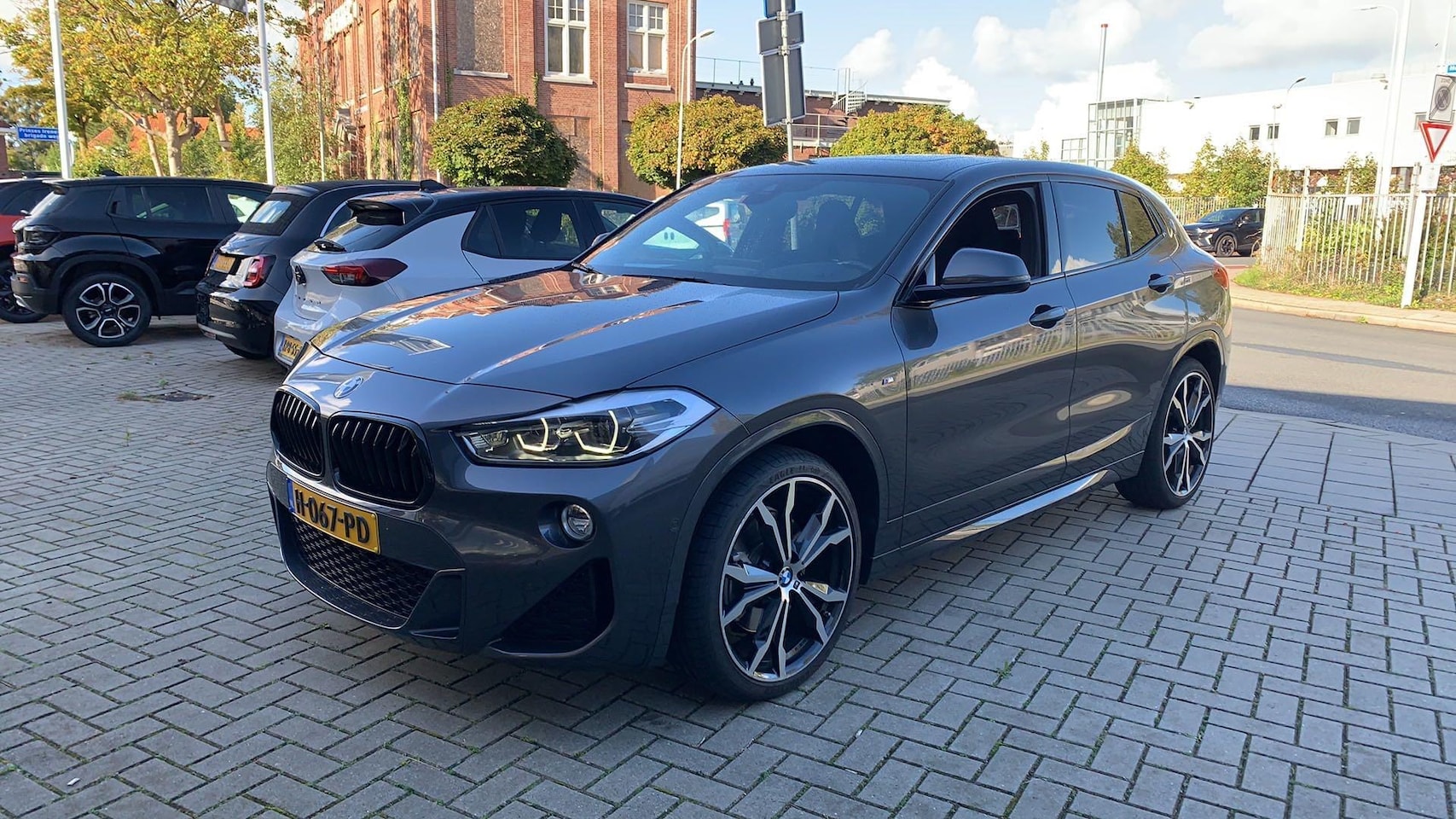 BMW X2 - sDrive20i High Executive Edition sDrive20i High Executive Edition - AutoWereld.nl