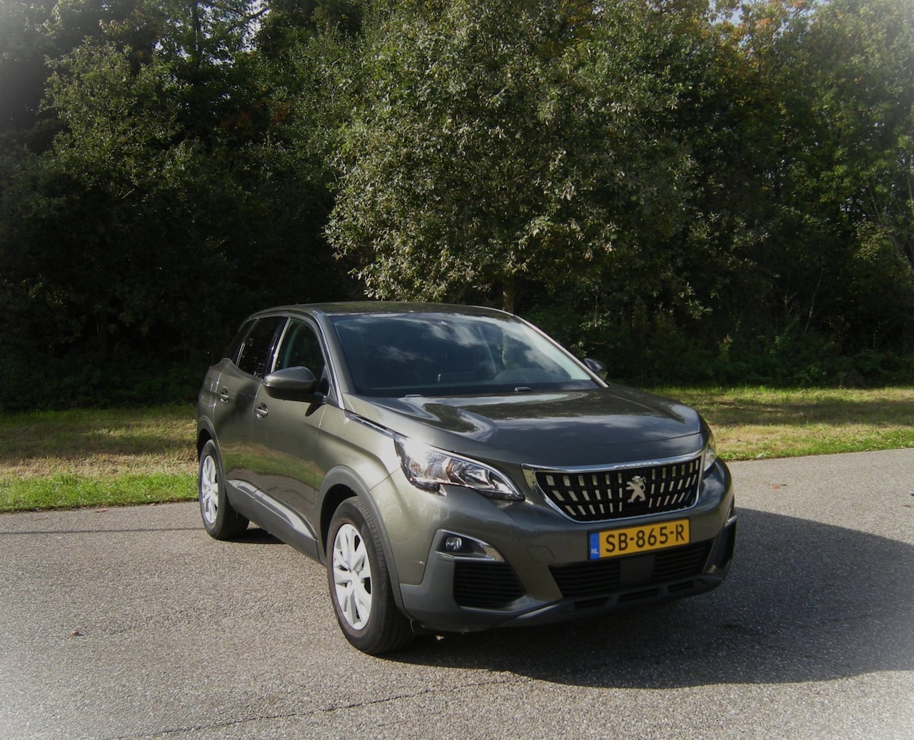 Peugeot 3008 - 1.2 PureTech Active . Airco . LMV . Trekhaak . Carplay . enz - AutoWereld.nl