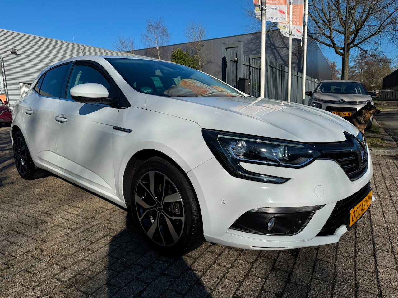 Renault Mégane - 1.3 TCe Bose camera, pdc, clima, groot display, 1/2 leder key-less go/start stoelverwarmin - AutoWereld.nl