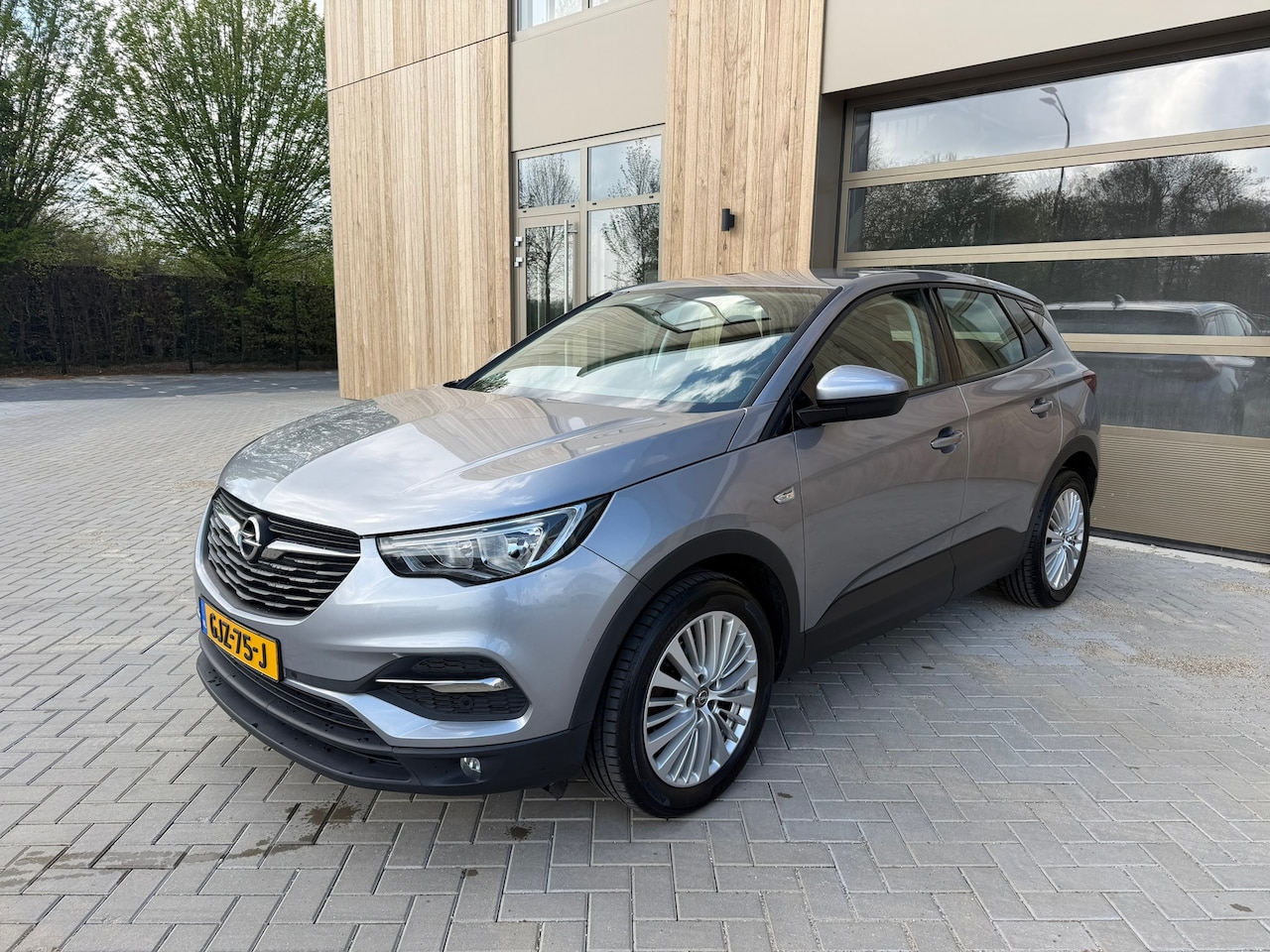 Opel Grandland X - 1.2 Turbo Business Executive 5Drs|Clima|Carplay|Parkeersensoren|Trekhaak - AutoWereld.nl