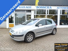 Peugeot 307 - 1.6-16V XT