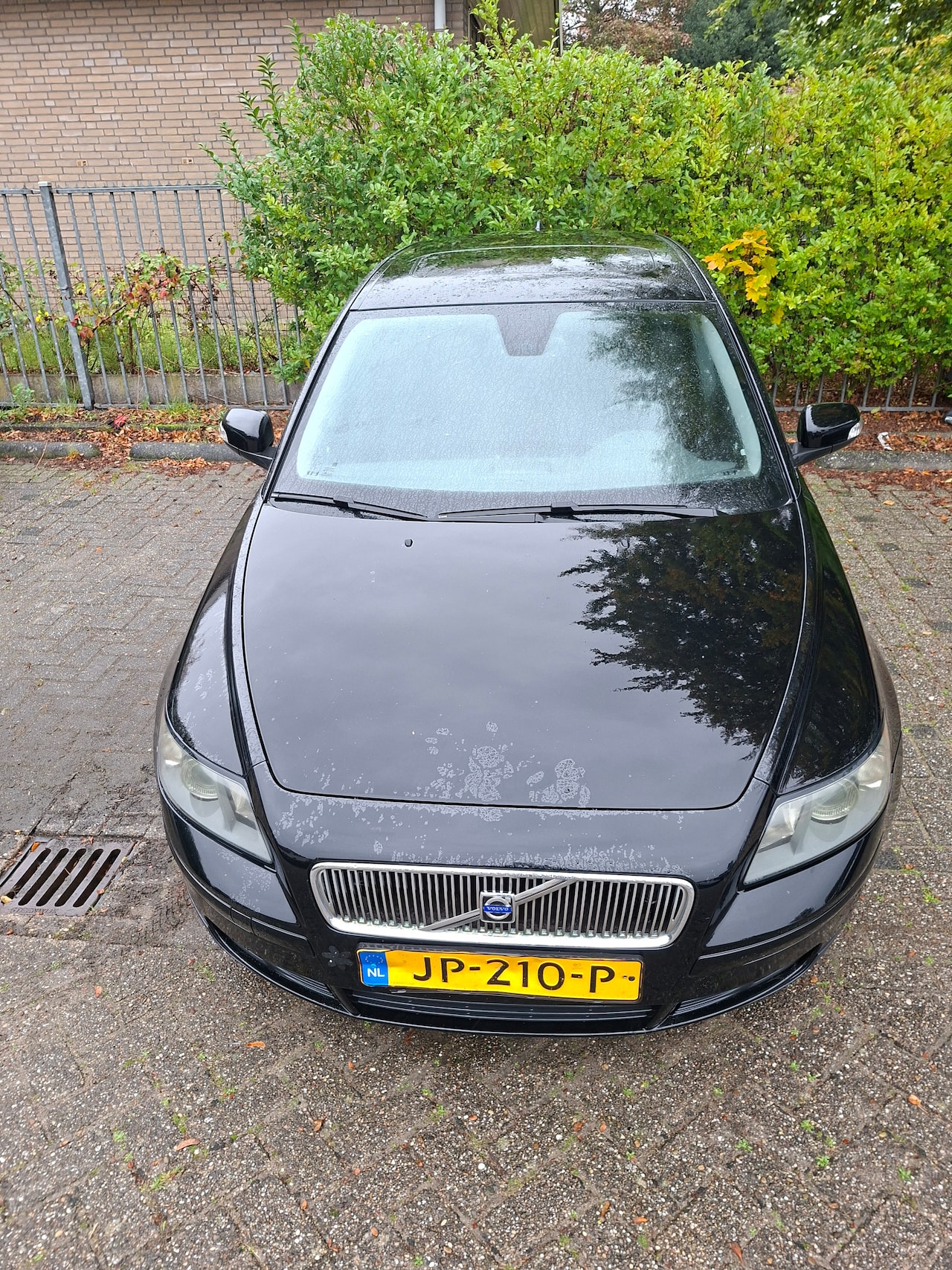 Volvo V50 - 1.8 - AutoWereld.nl
