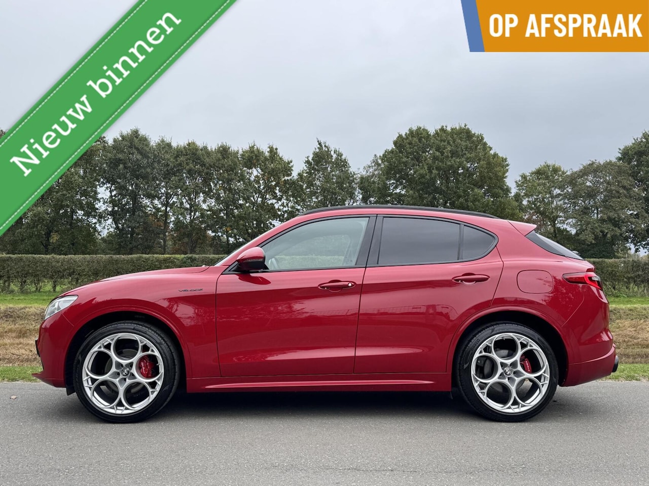 Alfa Romeo Stelvio - 2.0t Q4 Veloce, echte Alfa combinatie!! - AutoWereld.nl