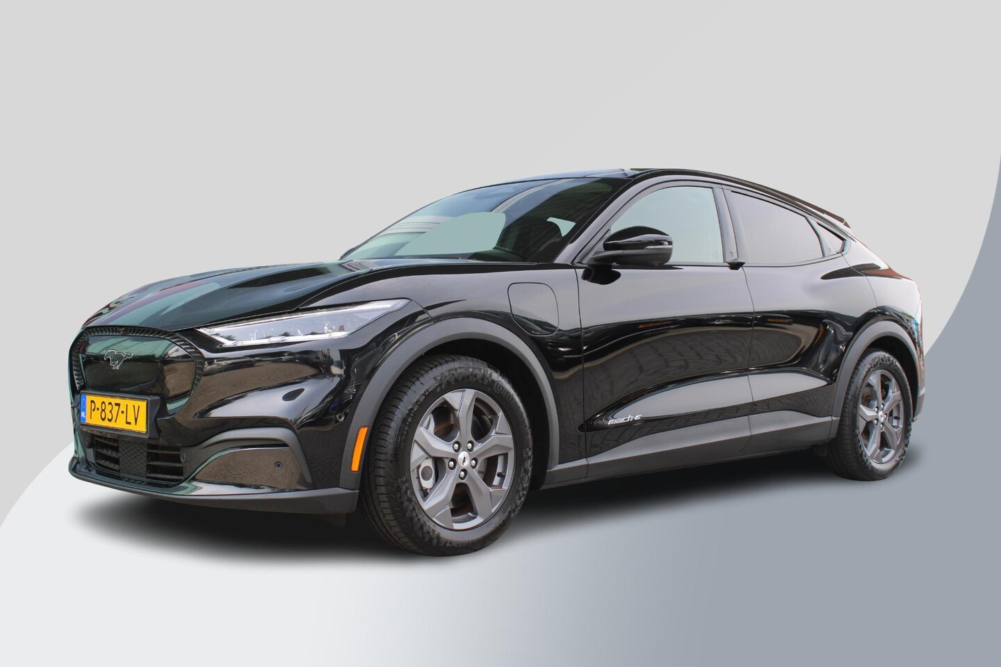 Ford Mustang Mach-E - RWD 75 kWh | SOH 92,5% | B&O Audio | Technology Pack Plus | Panorama Dak | Volledig Ledere - AutoWereld.nl