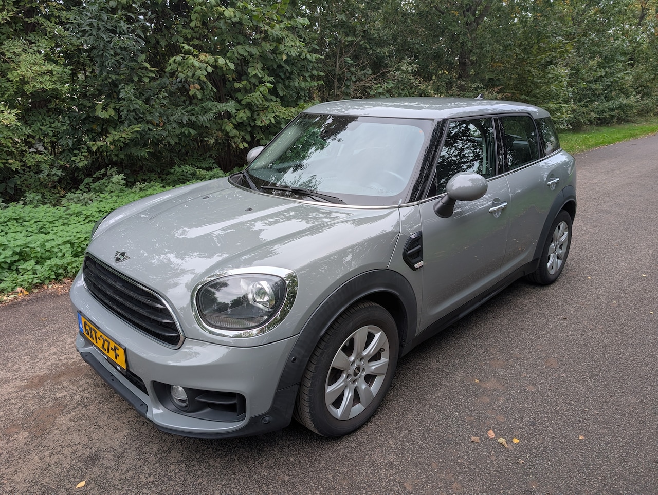 MINI Countryman - 1.5 One Chili - AutoWereld.nl