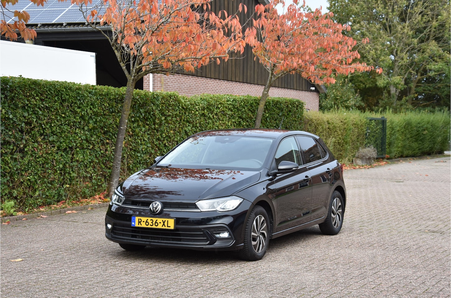 Volkswagen Polo - 1.0 TSI Life Business DSG ECC IQ-Drive stoelverw. Topstaat! - AutoWereld.nl