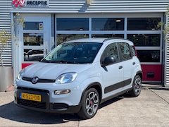 Fiat Panda - 1.0 Hybrid City Life / Carplay / Airco / Org-Ned