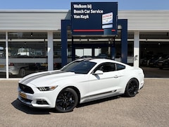 Ford Mustang Fastback - 2.3 EcoBoost / 317 PK / Automaat / Race-Striping / Borla Performance sport-uitlaat / Vol-l