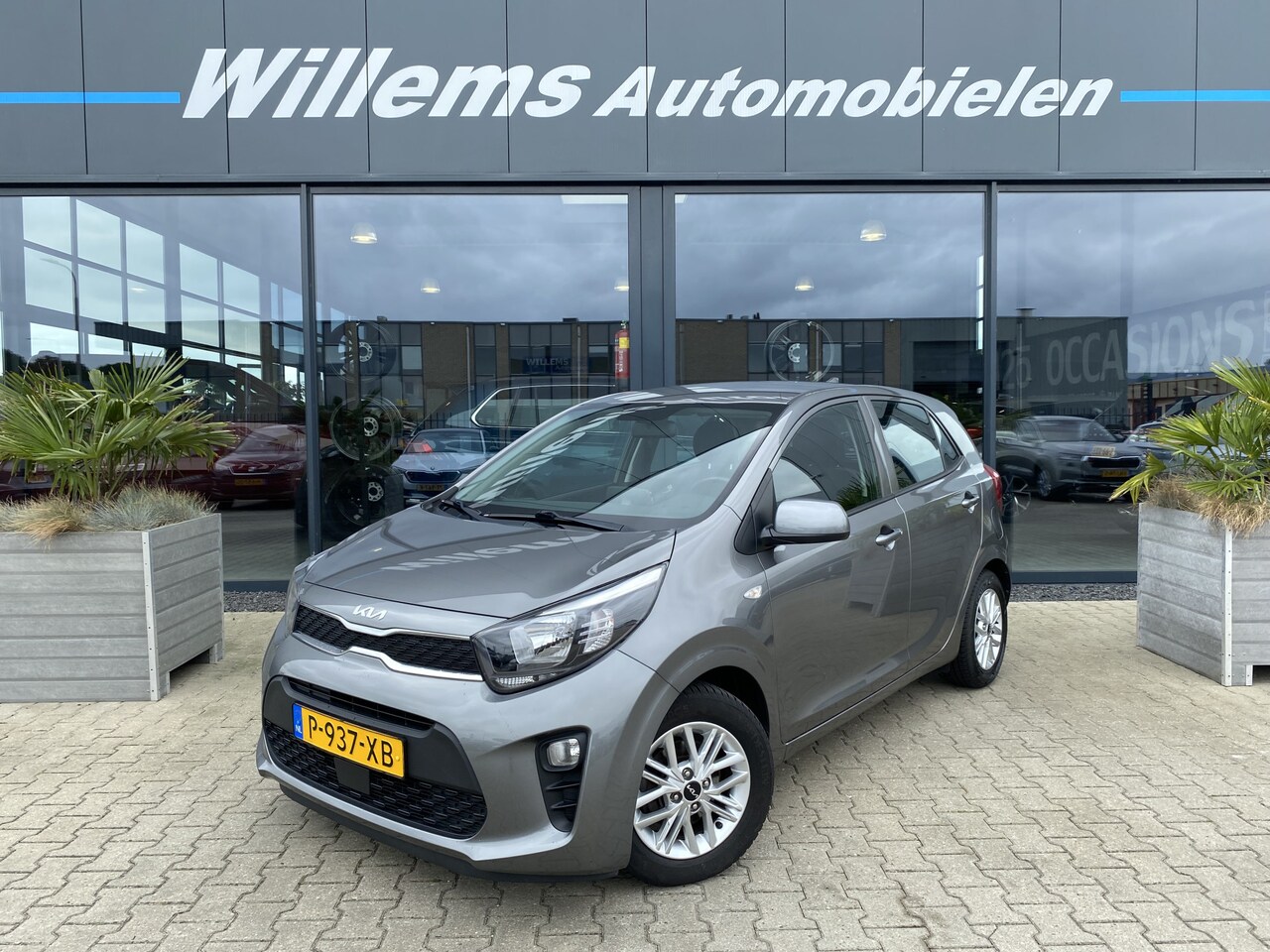 Kia Picanto - 1.0 DPi DynamicLine Cruise Control, Airco & Camera - AutoWereld.nl