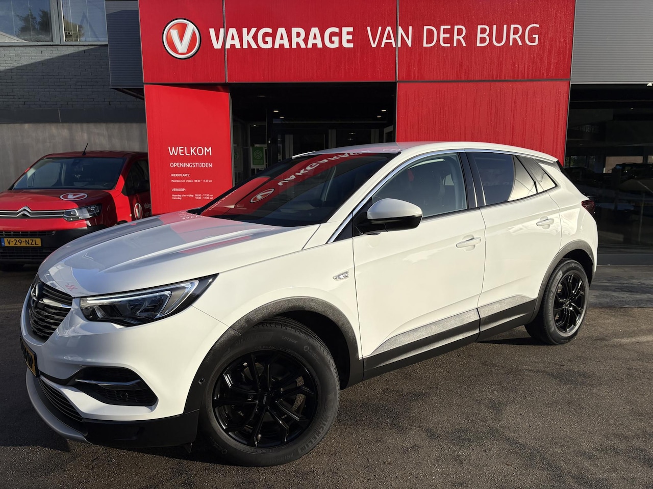 Opel Grandland X - 1.2 Turbo Business Executive 1.2 Turbo Business Executive - AutoWereld.nl