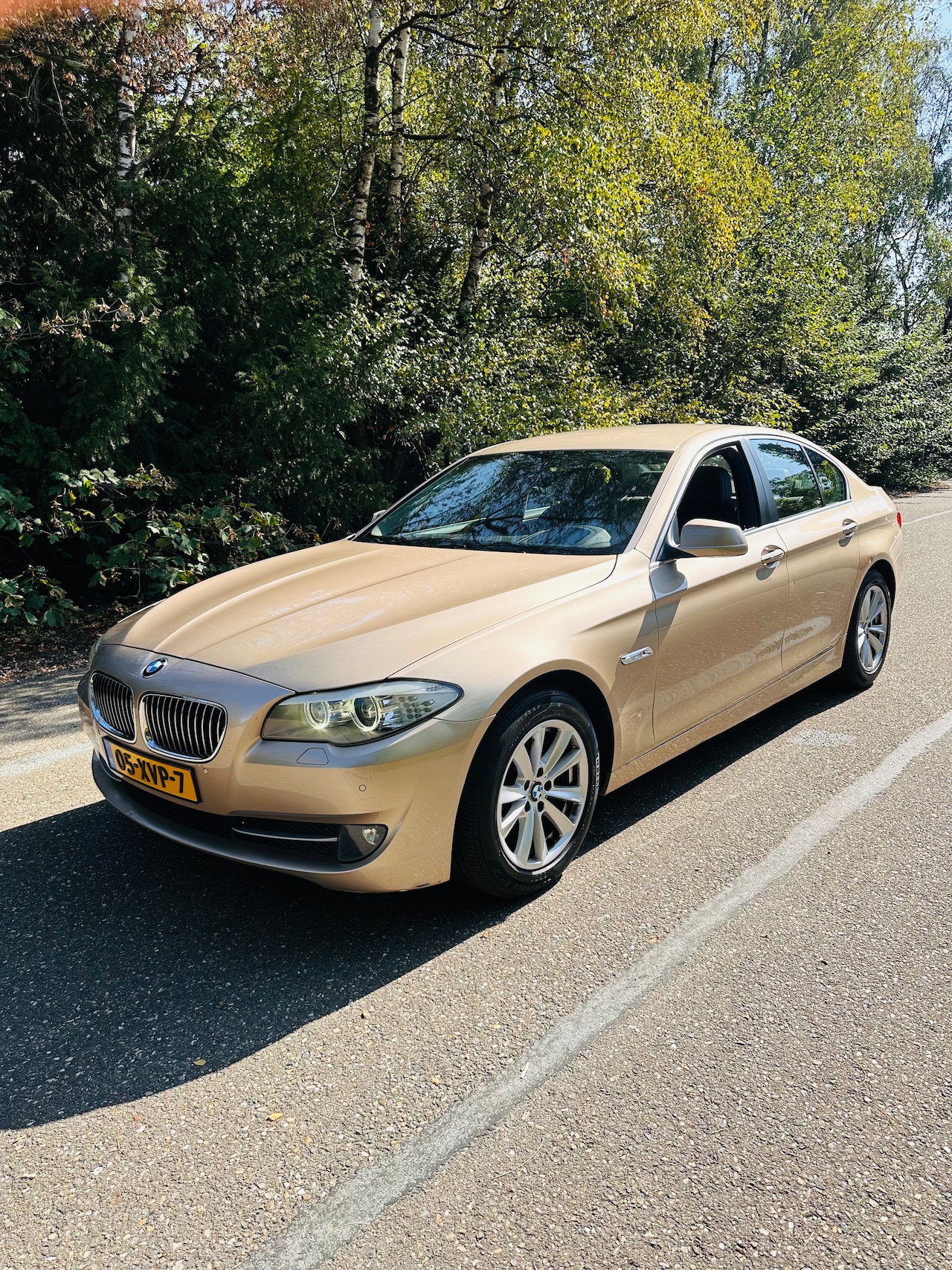 BMW 5-serie - 523i Executive - AutoWereld.nl