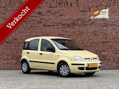 Fiat Panda - 1.2 Active, NEW APK/Citydrive/Gepolijst