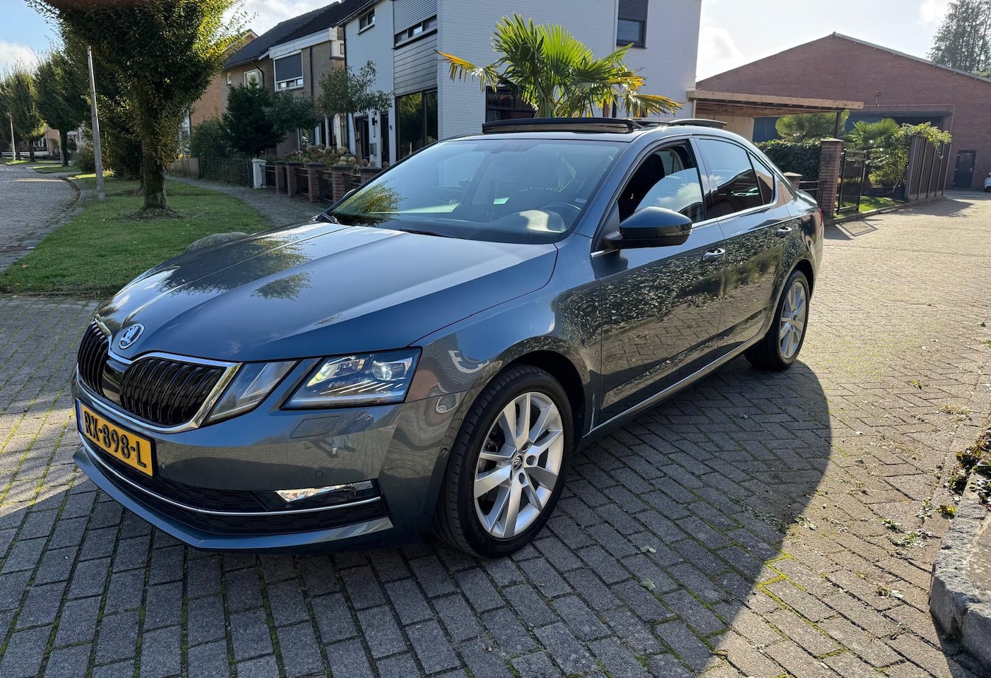 Skoda Octavia - 1.0 TSI Greentech Style Business Pano Navi Cruise - AutoWereld.nl
