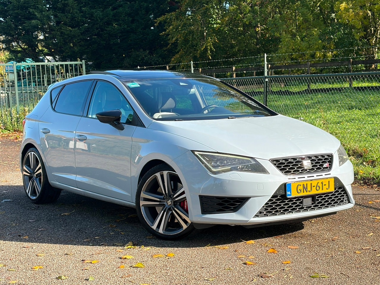SEAT Leon - 2.0 TSI Cupra 290 Connect /Automaat/Pano/Navi/Led/ - AutoWereld.nl