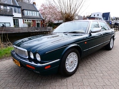 Daimler Double Six - 6.0 V12 312pk Origineel Nederlands met historie Youngtimer