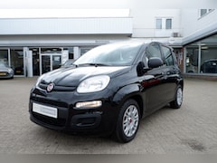Fiat Panda - 1.0 Hybr. City Rijklaarprijs incl. 12MND Bovag garantie