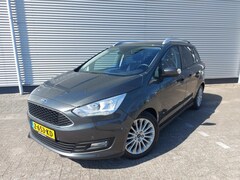 Ford Grand C-Max - 1.0 Titanium, airco, cruise, navigatie/camera, stoel/stuurverwarming, voorruit verwarmd, p