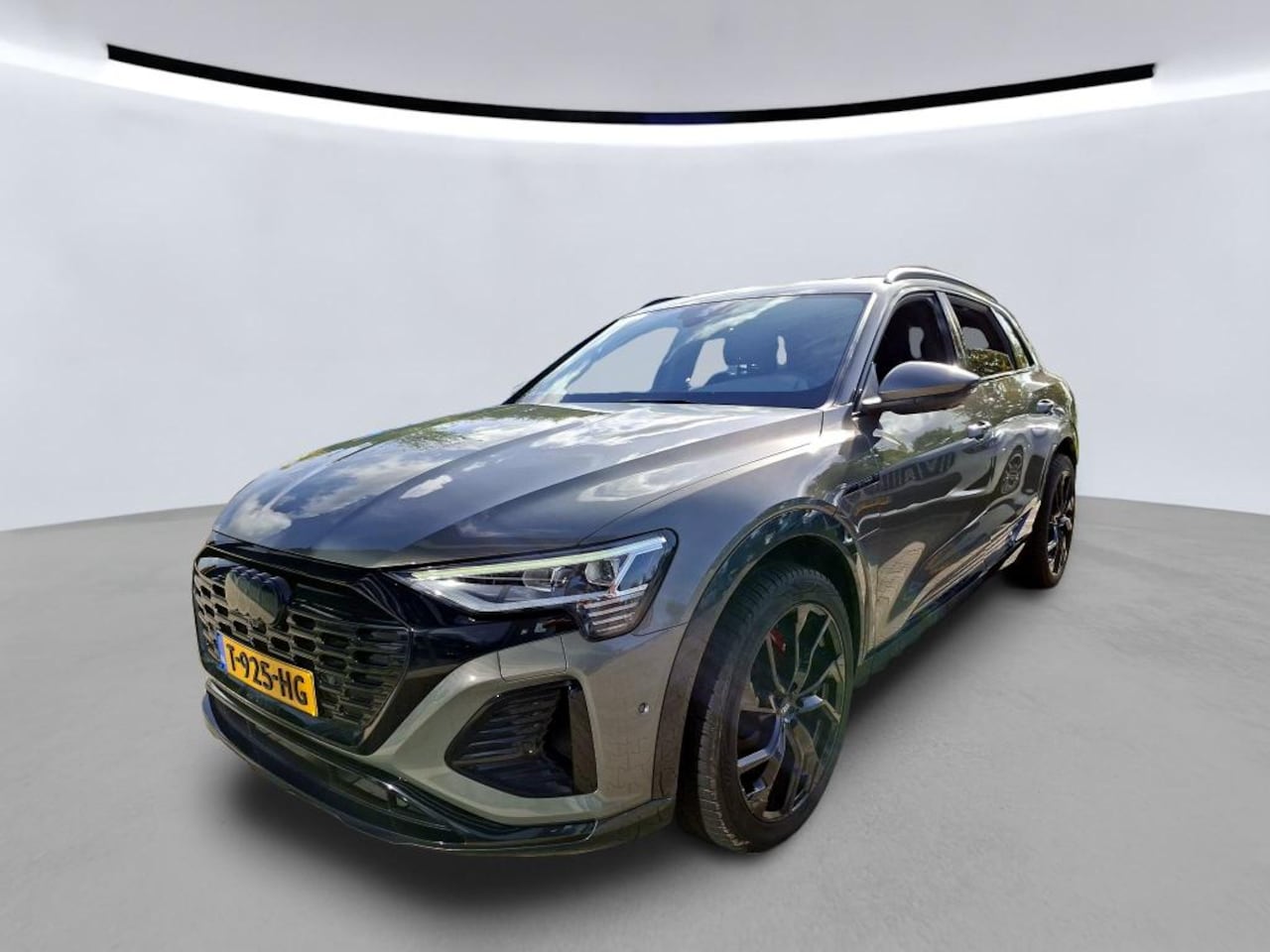 Audi Q8 e-tron - 55 quattro S Edition 115kwh 55 Quattro S Edition 115 kWh - AutoWereld.nl