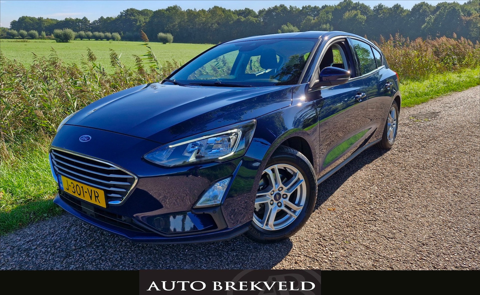 Ford Focus - 1.0 EcoBoost Trend Edition Business 101PK | Camera | Cruise | DAB | Navi | Elektr. pakket - AutoWereld.nl