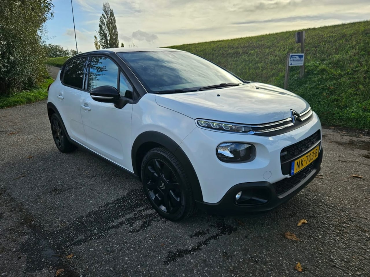 Citroën C3 - 1.2 PureTech S&S Shine 1.2 PureTech S&S Shine,Dealer onderhouden - AutoWereld.nl