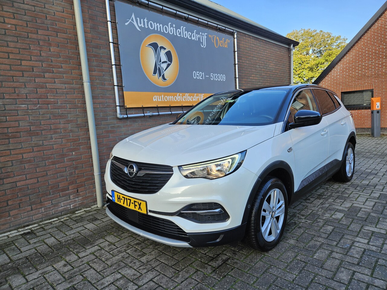 Opel Grandland X - 1.5 CDTi Business Executive 1.5 CDTi Business Executive - AutoWereld.nl