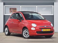 Fiat 500 C - 1.2 Young 500c cabrio NL auto Nieuwe distributieriem