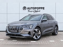 Audi e-tron - 55 quattro 95 kWh 408pk | SOH 91, 8% |